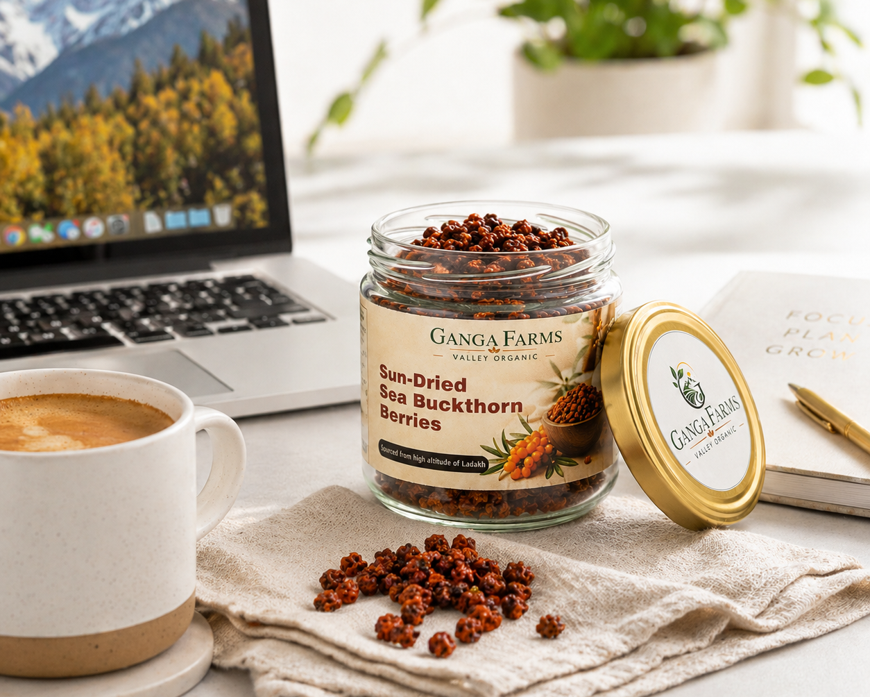 Ganga Farms Sun-Dried Sea Buckthorn Berries The Whole Wild Superfruit from Ladakh