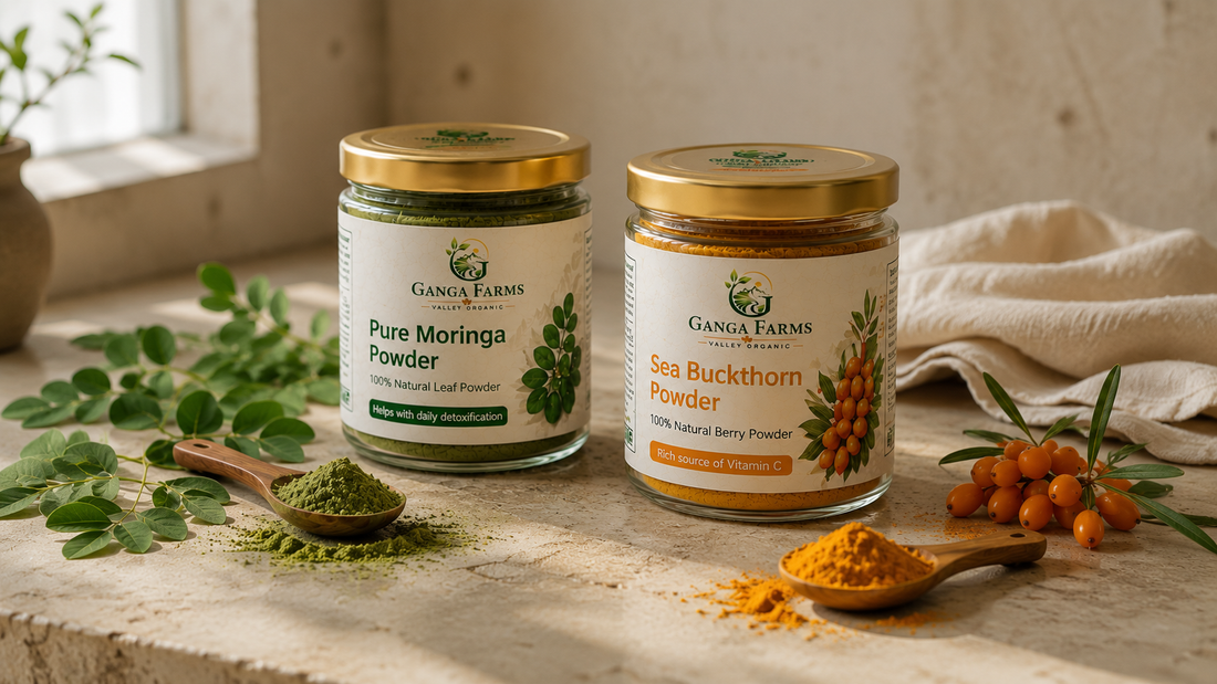 Ganga Farms moringa powder and sea buckthorn powder compared with fresh moringa leaves and Ladakh sea buckthorn berries