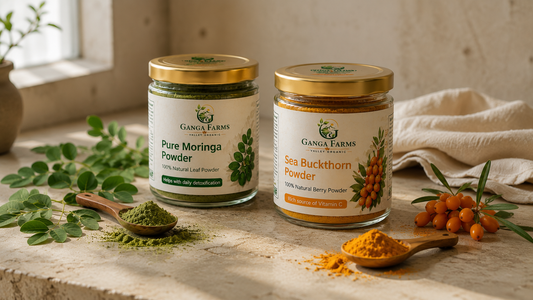 Ganga Farms moringa powder and sea buckthorn powder compared with fresh moringa leaves and Ladakh sea buckthorn berries
