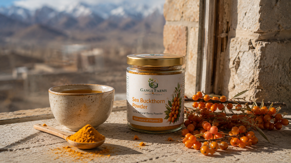 Sea Buckthorn Powder for Immunity: Your Winter Wellness Shield from Ladakh