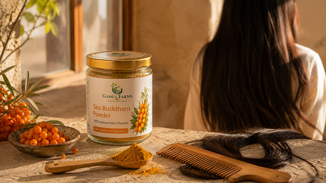 Ganga Farms sea buckthorn powder with Ladakh berries and healthy dark hair for natural hair nutrition
