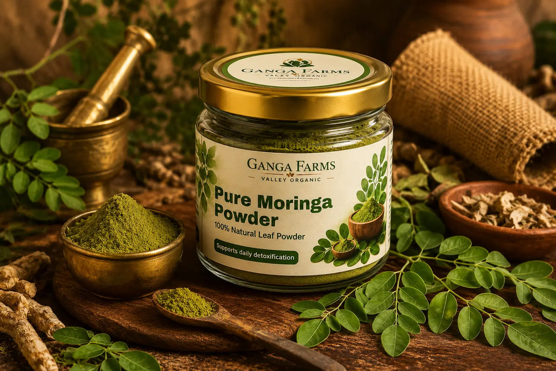 Ganga Farms moringa powder jar in an earthy Ayurvedic setting with fresh moringa leaves and natural herbs for hair growth