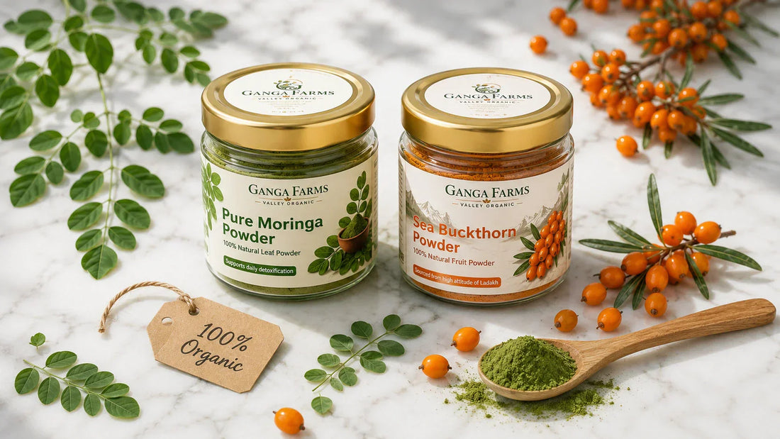 Ganga Farms organic moringa powder and sea buckthorn powder jars with fresh natural ingredients on marble