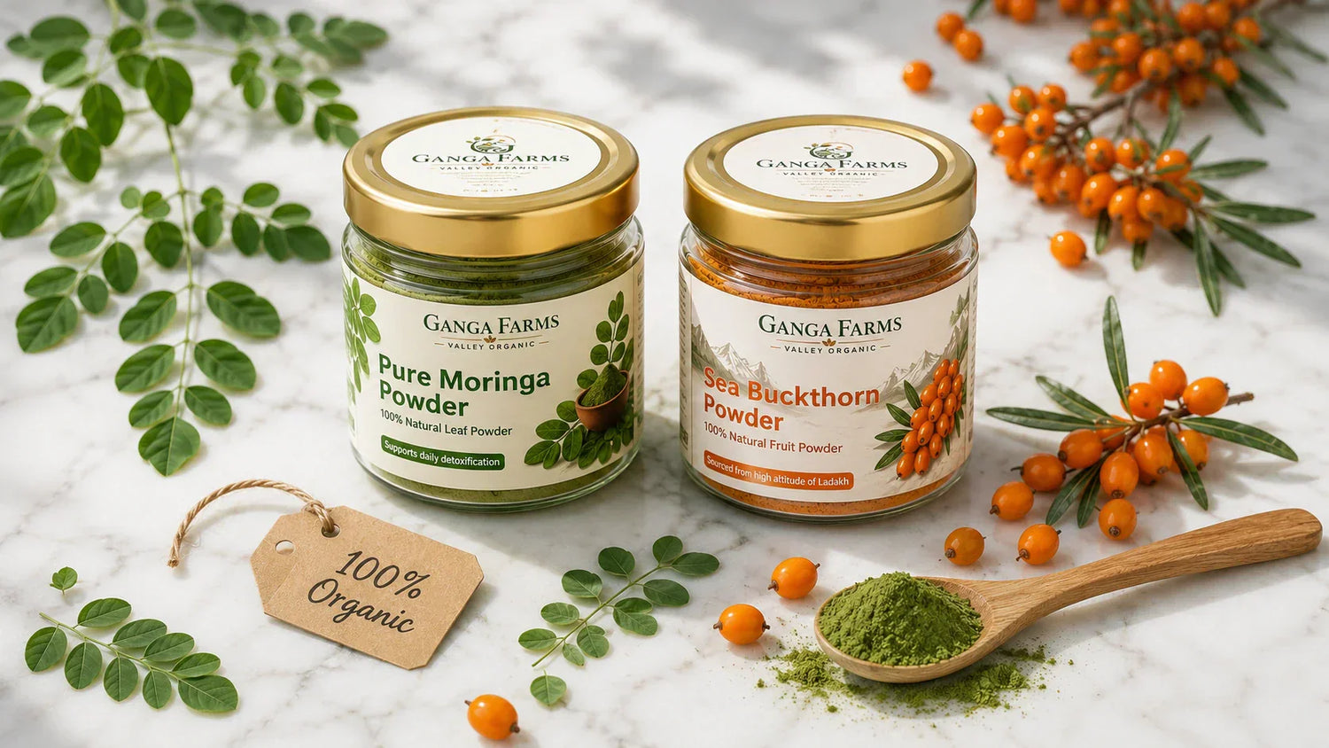 Ganga Farms organic moringa powder and sea buckthorn powder jars with fresh natural ingredients on marble