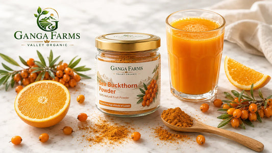 Ganga Farms Sea Buckthorn Powder jar with immunity boost drink and fresh Ladakh berries