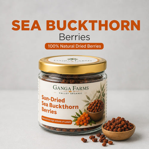 Jar of Ganga Farms Sea Buckthorn Berries with a bowl of berries on a light background