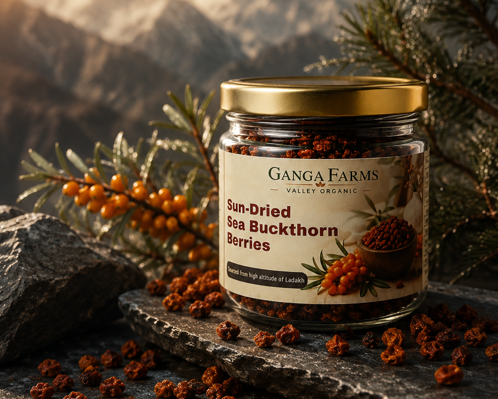 Ganga Farms Sun-Dried Sea Buckthorn Berries The Whole Wild Superfruit from Ladakh