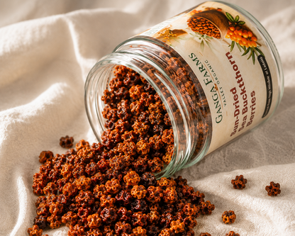 Ganga Farms Sun-Dried Sea Buckthorn Berries The Whole Wild Superfruit from Ladakh