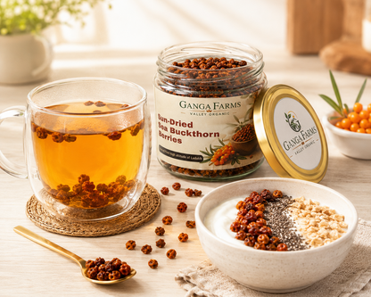 Ganga Farms Sun-Dried Sea Buckthorn Berries The Whole Wild Superfruit from Ladakh