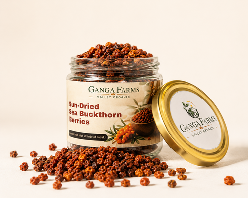 Jar of Ganga Farms sun-dried sea buckthorn berries with a gold lid on a beige background