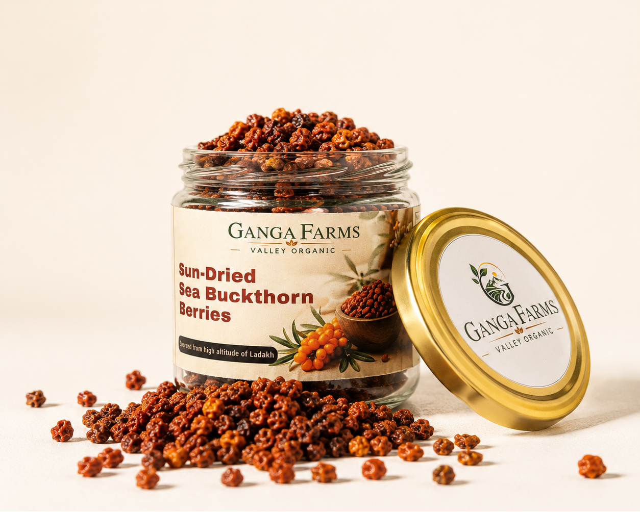 Ganga Farms Sun-Dried Sea Buckthorn Berries The Whole Wild Superfruit from Ladakh