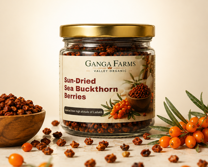 Ganga Farms Sun-Dried Sea Buckthorn Berries The Whole Wild Superfruit from Ladakh